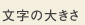 文字の大きさ